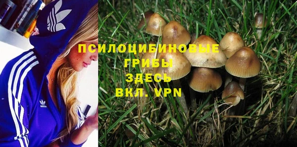 соль курить ск Рославль