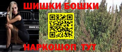 стаф Обь